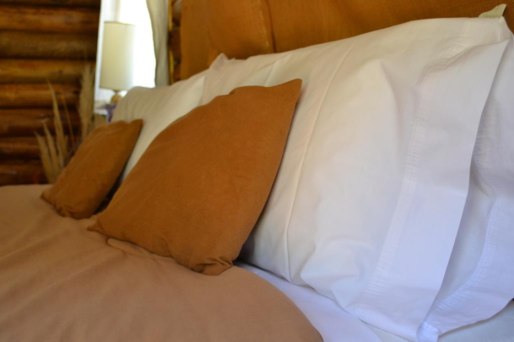 Mendoza Sol Y Nieve Villa โปเตรริโญส ห้อง รูปภาพ